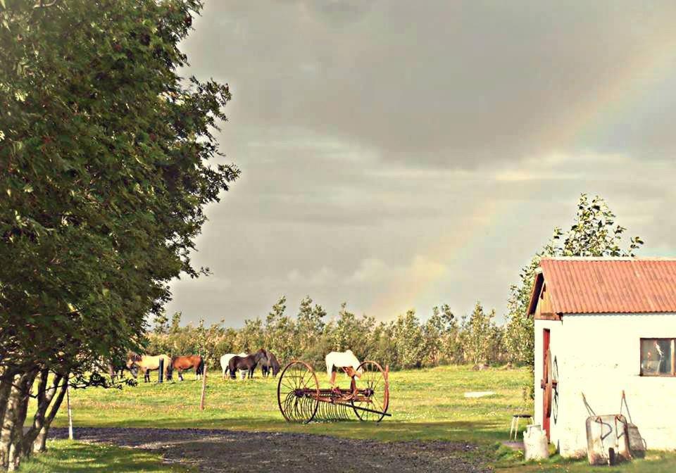 Rauthuskrithur Farm Holmabaeir Zewnętrze zdjęcie